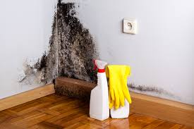 Best Mold Odor Removal Services  in Lake Bluff, IL